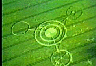 Typical crop circle - in England 20% are unexplained.